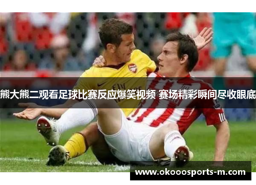 熊大熊二观看足球比赛反应爆笑视频 赛场精彩瞬间尽收眼底